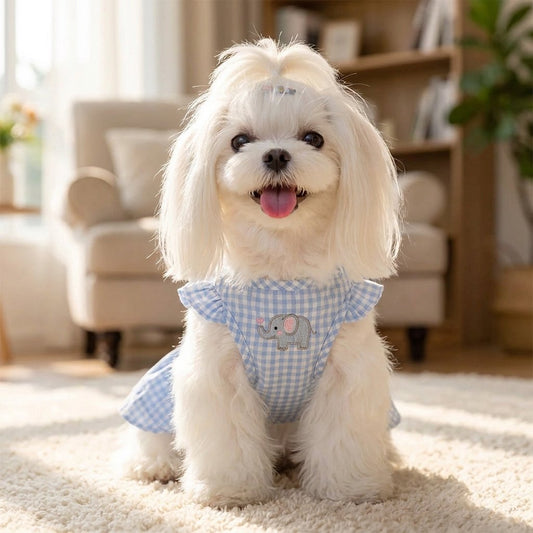 Blue Gingham Dog Dress with Built-In Harness Ring