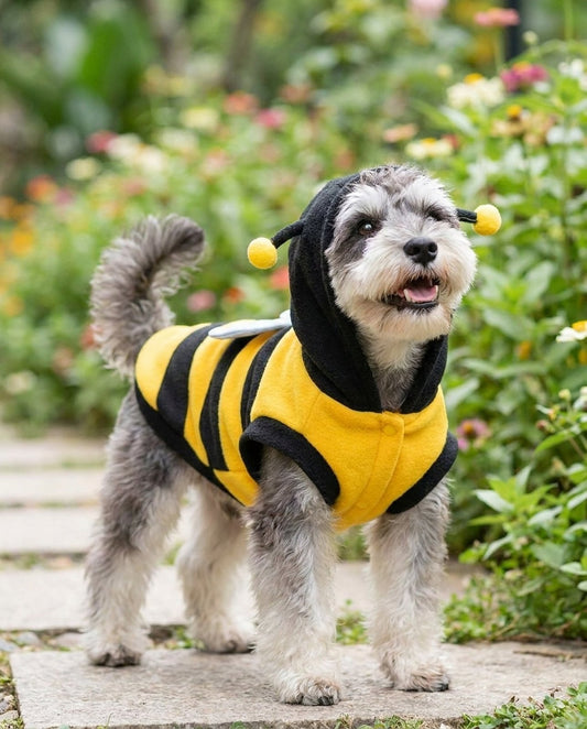 Buzzy Bee Costume Jacket for Dogs