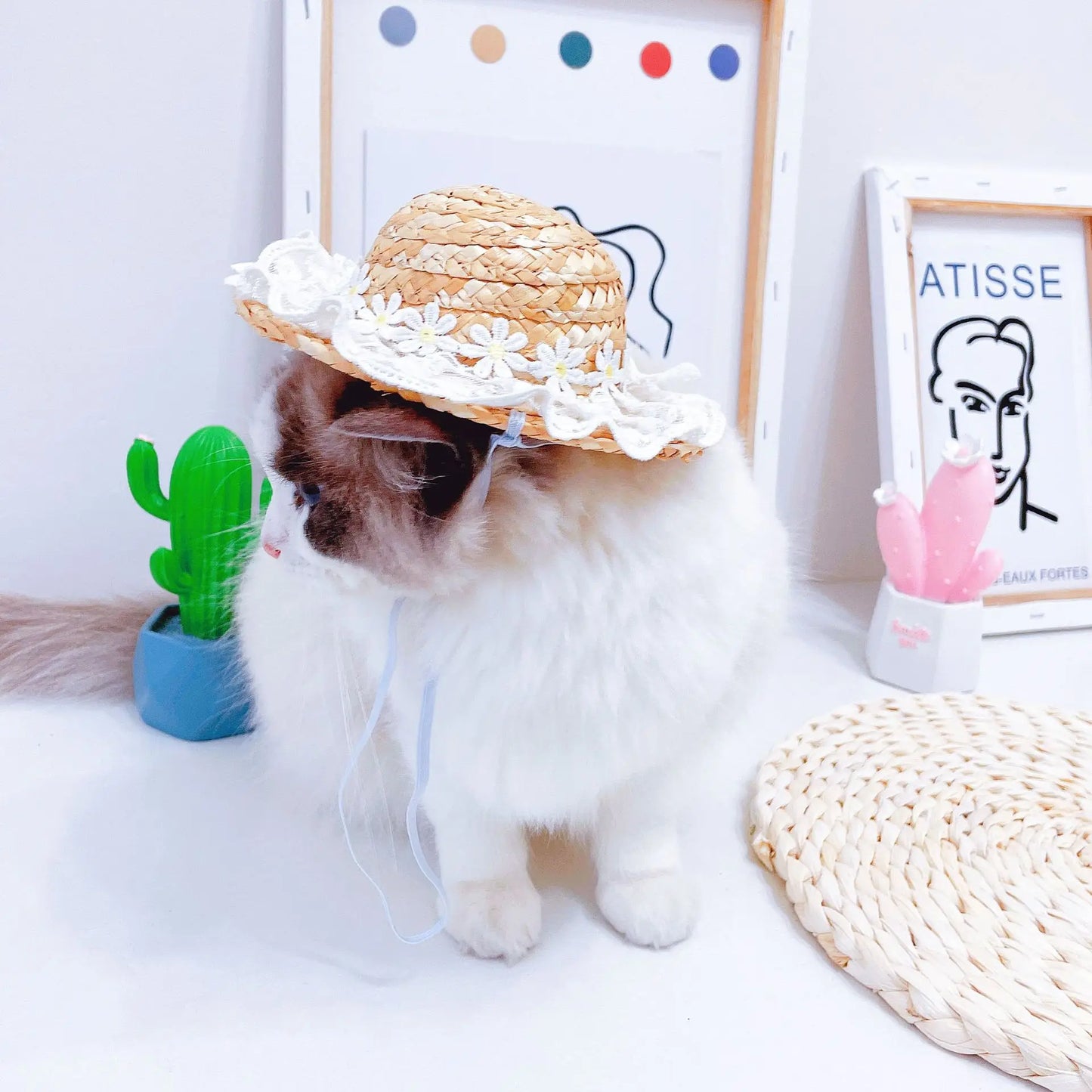 Spring and Summer Lace Flower Hat Cat Dog Sun Shade Straw Hat Pet Clothes Puppy Accessories Small Dog Hat Hats For Dogs Cats