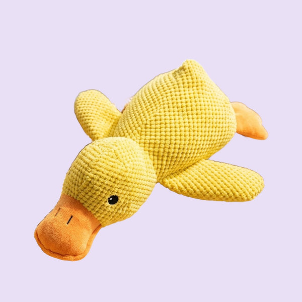 Birds & Bugs