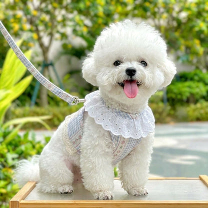 Sweet Lace Floral Plaid Harness & Leash Set