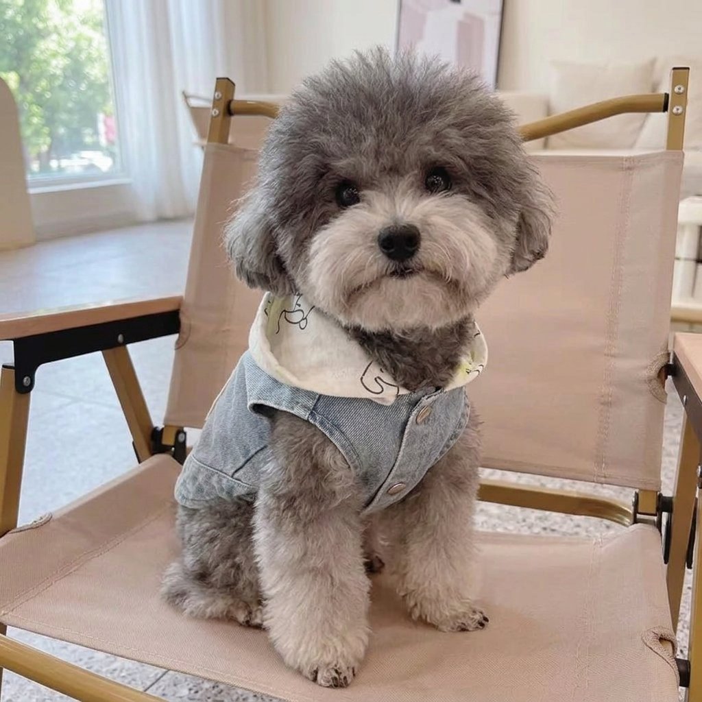 Denim Bear Patch Hoodie Vest
