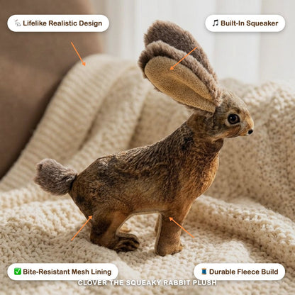 Clover the Squeaky Rabbit Plush