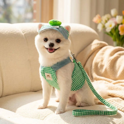 Duck & Frog Gingham Harness, Leash & Sun Hat Set