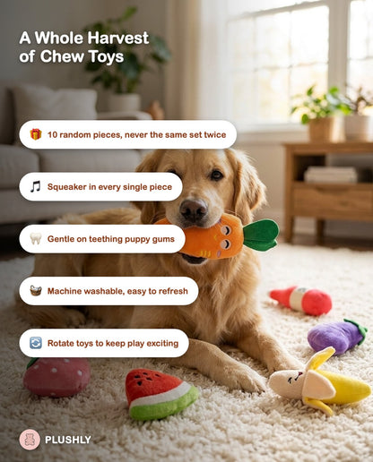 Garden Harvest Squeaky Chew Pack