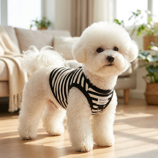 Striped Halter Vest for Dogs & Cats with D-Ring