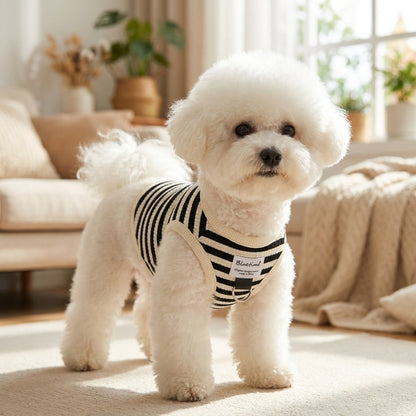 Striped Halter Vest for Dogs & Cats with D-Ring