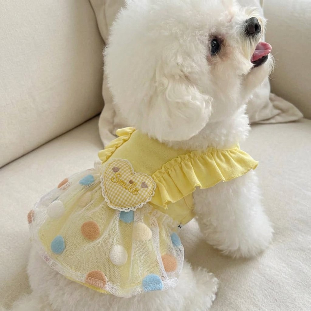 Pastel Dot Smile Heart Dress