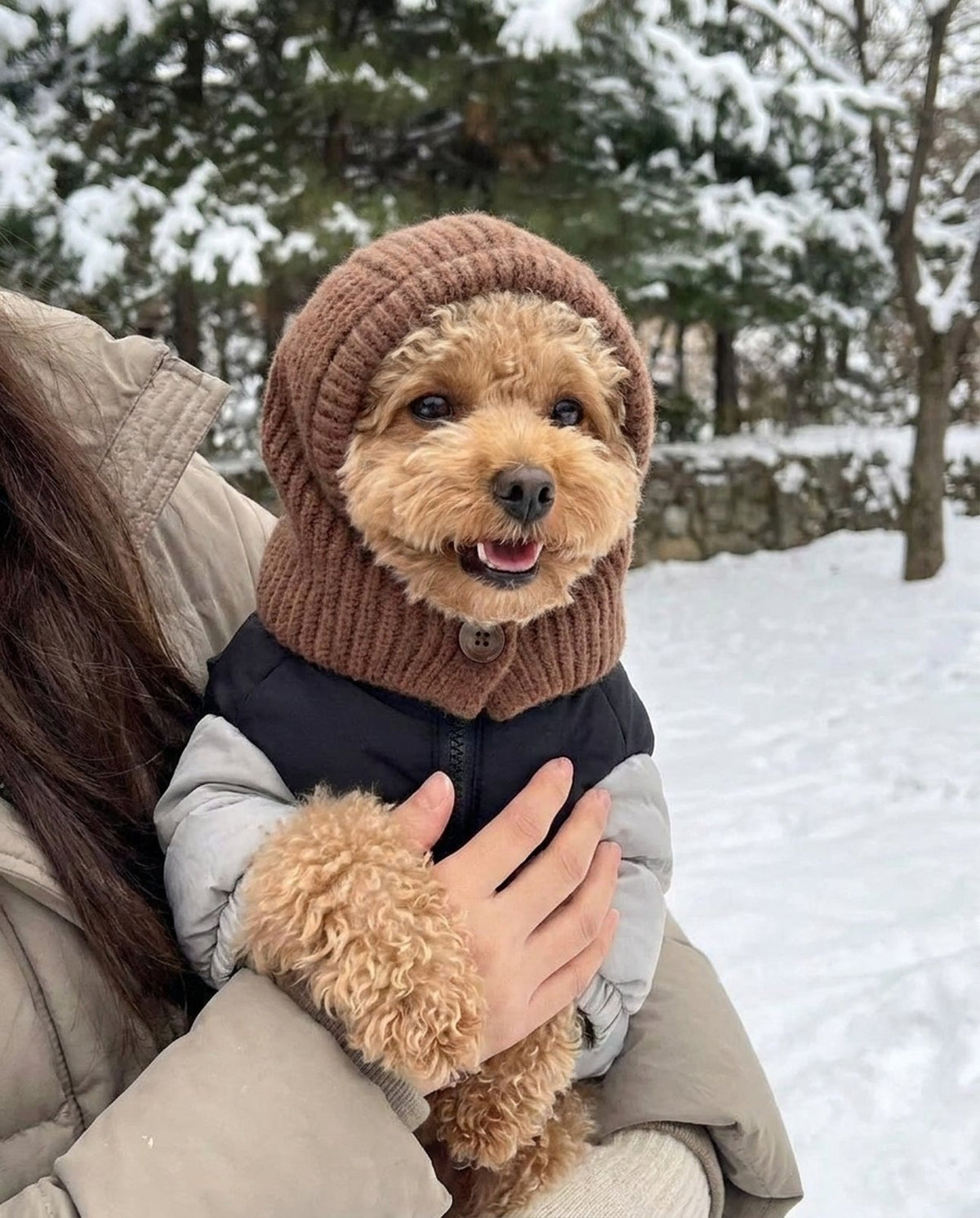 Cozy Knit Hood Scarf for Dogs