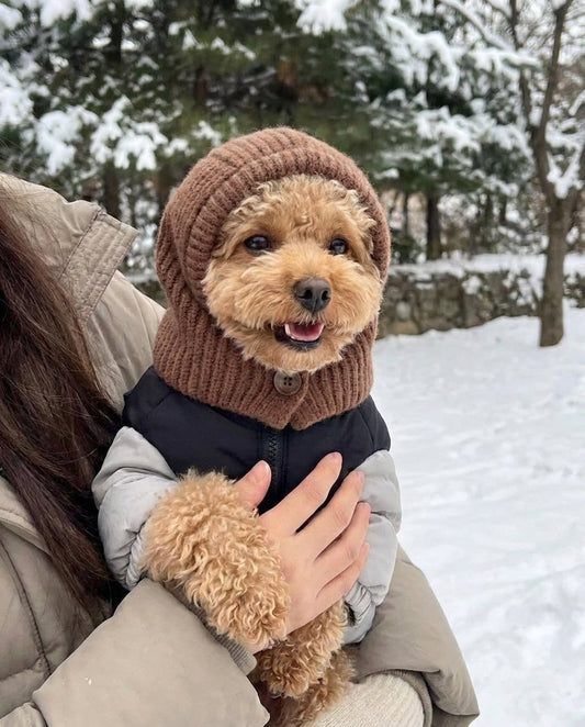 Cozy Knit Hood Scarf for Dogs