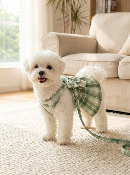 Plaid Bow Harness Dress with Leash