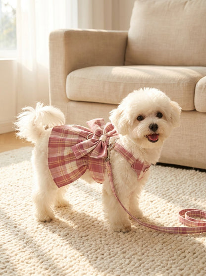 Plaid Bow Harness Dress with Leash