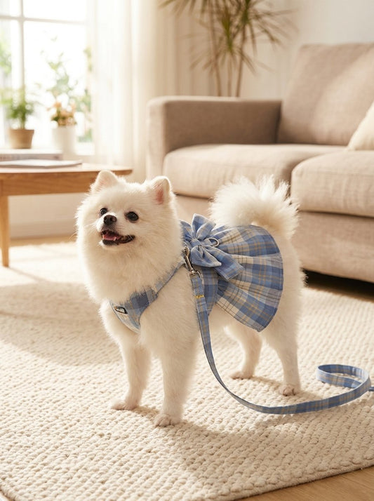 Plaid Bow Harness Dress with Leash