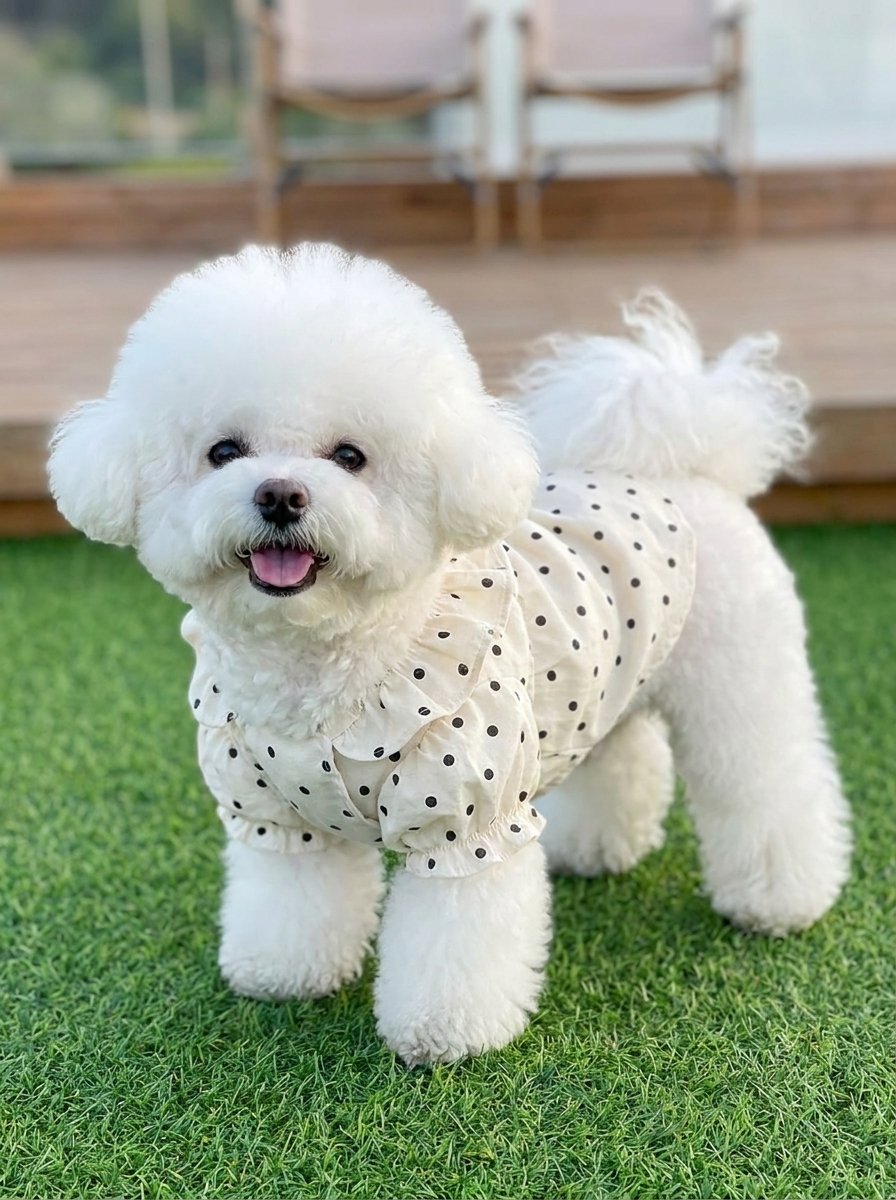 Polka Dot Ruffle Dress for Dogs & Cats