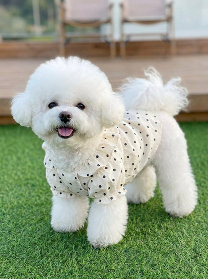 Polka Dot Ruffle Dress for Dogs & Cats