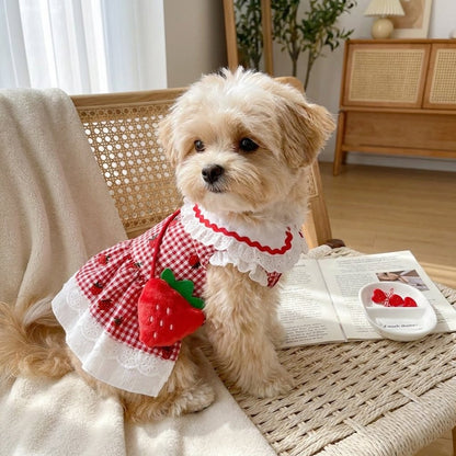 Strawberry Gingham Sundress with Purse