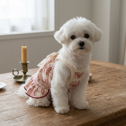 French Toile Ruffle Sundress