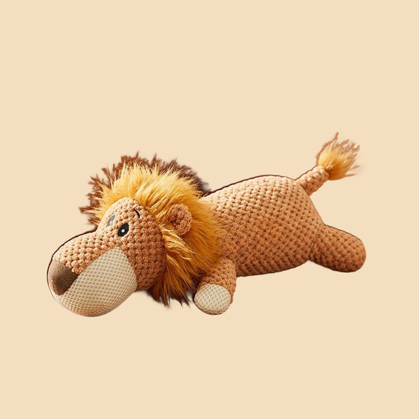 Safari & Wild
