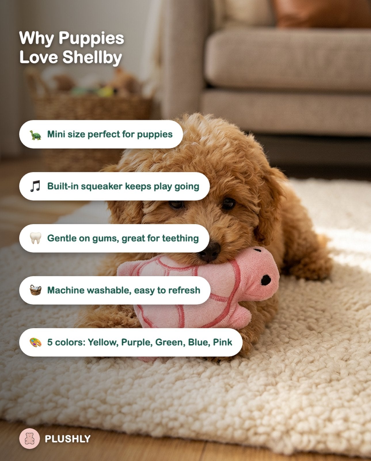 Shellby the Squeaky Turtle Plush