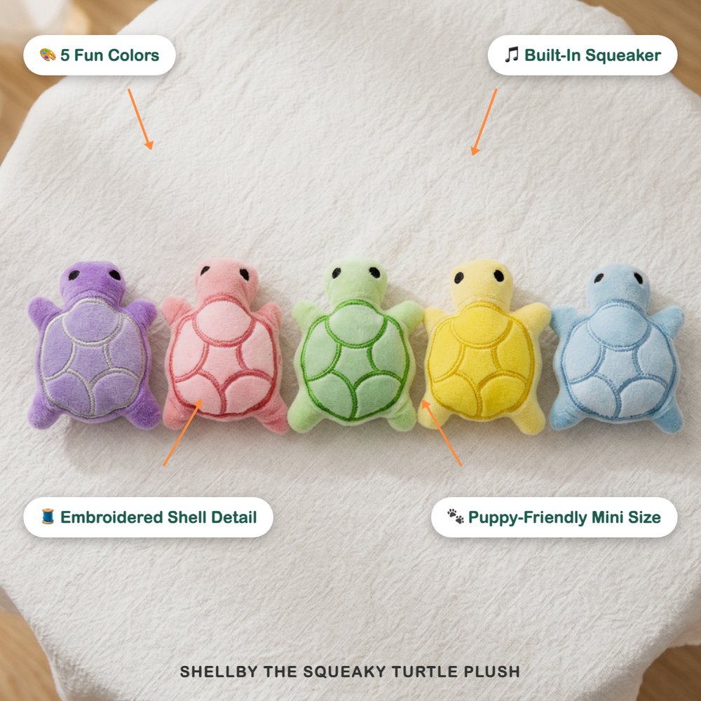 Shellby the Squeaky Turtle Plush
