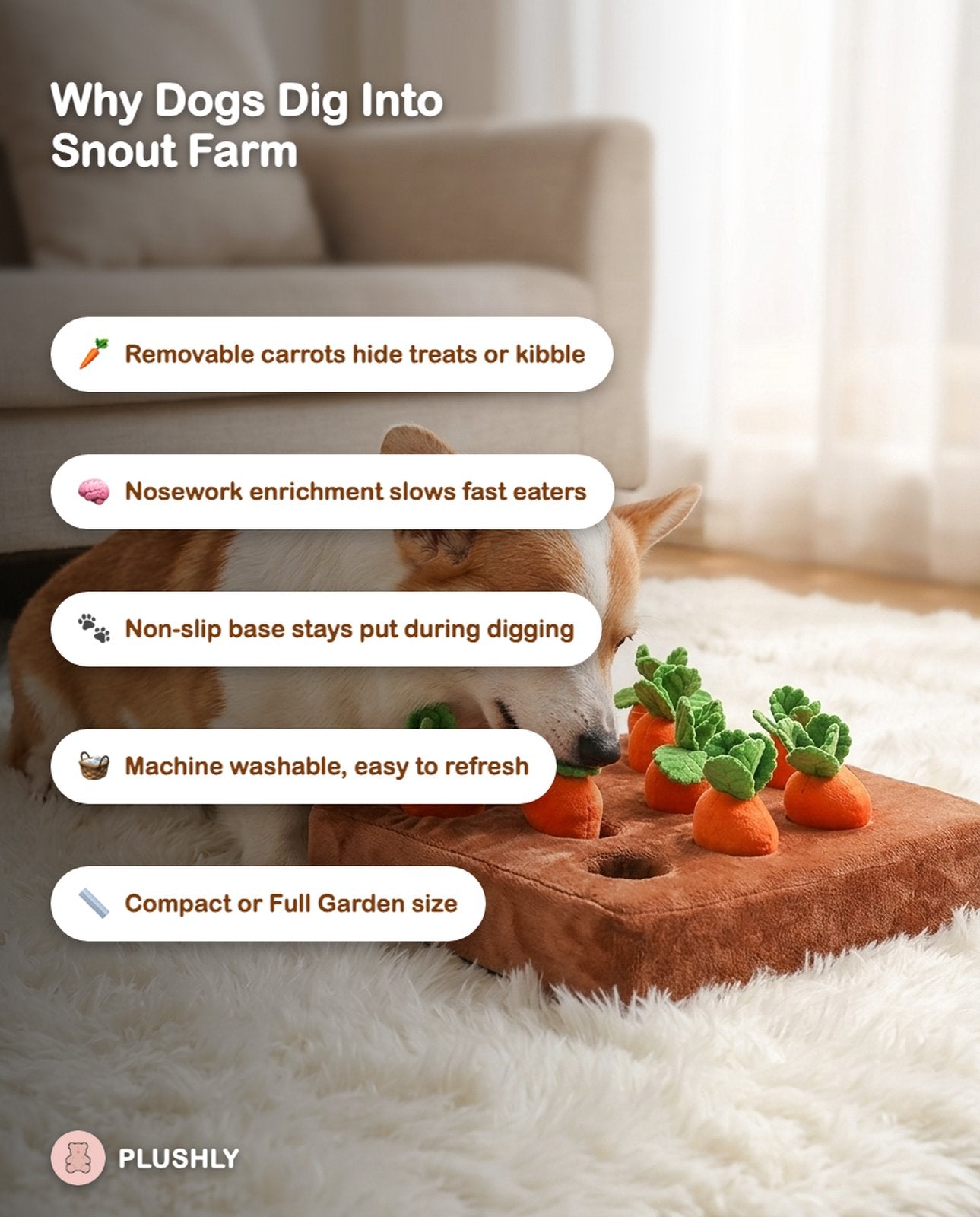 Snout Farm Carrot Puzzle Toy