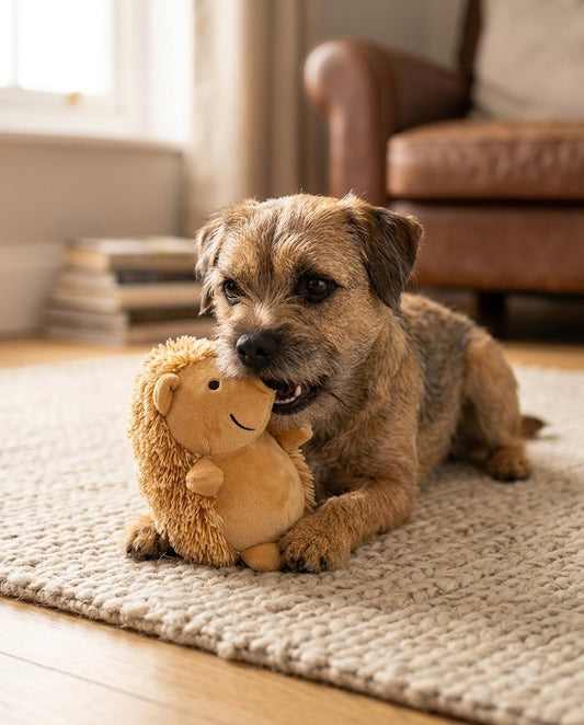 Spike the Squeaky Hedgehog Plush