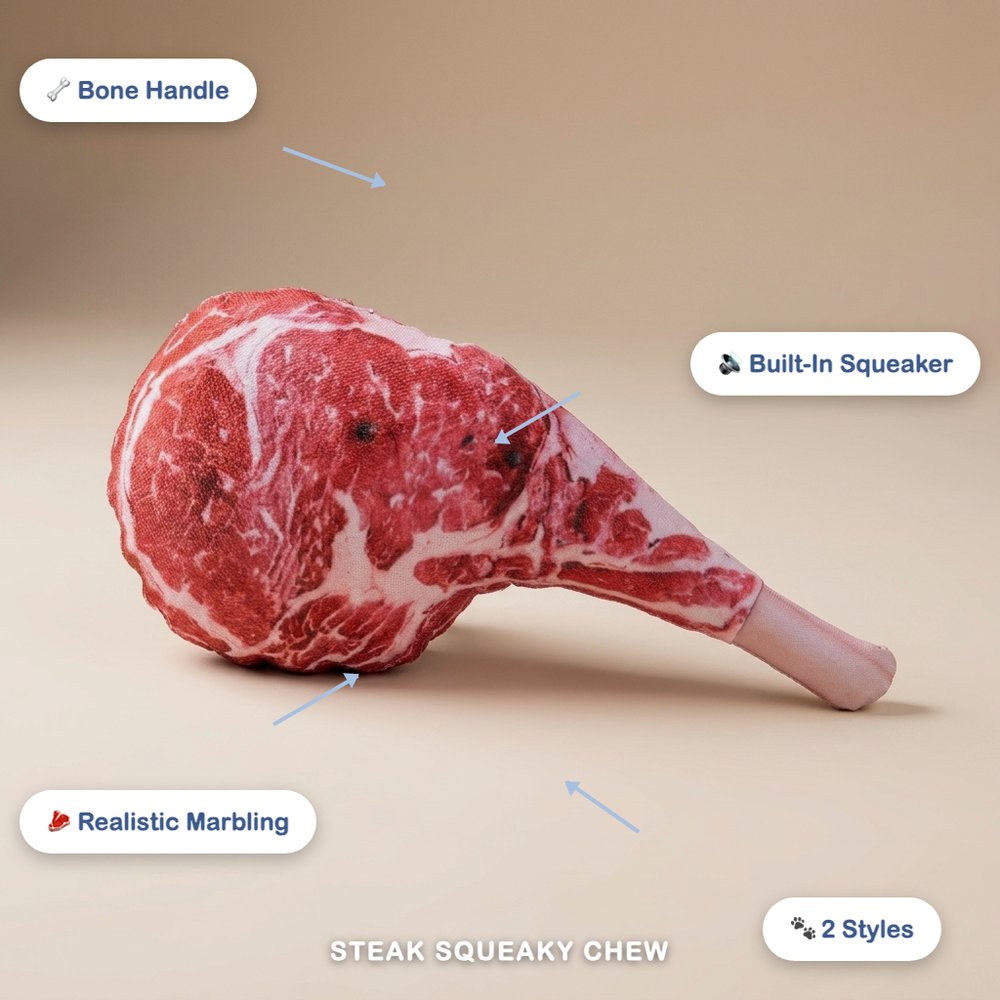 Realistic Steak Squeaky Chew Toy for Dogs