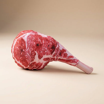 Realistic Steak Squeaky Chew Toy for Dogs