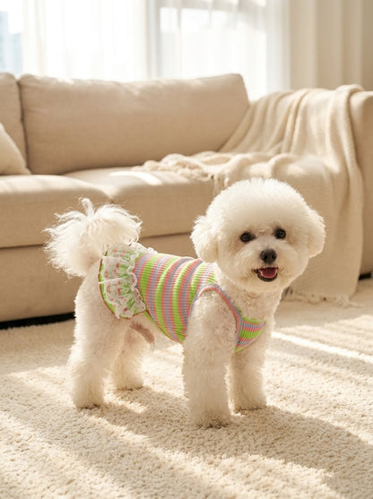 Rainbow Striped Lace Sundress for Dogs & Cats