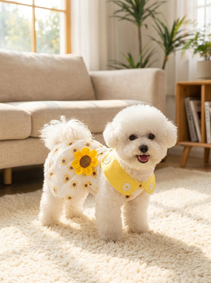 Mesh Tulle Party Dress for Dogs