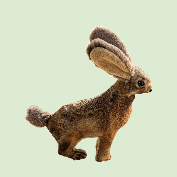 Woodland Critters