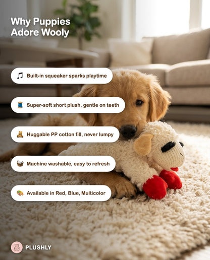 Wooly the Squeaky Lamb Plush